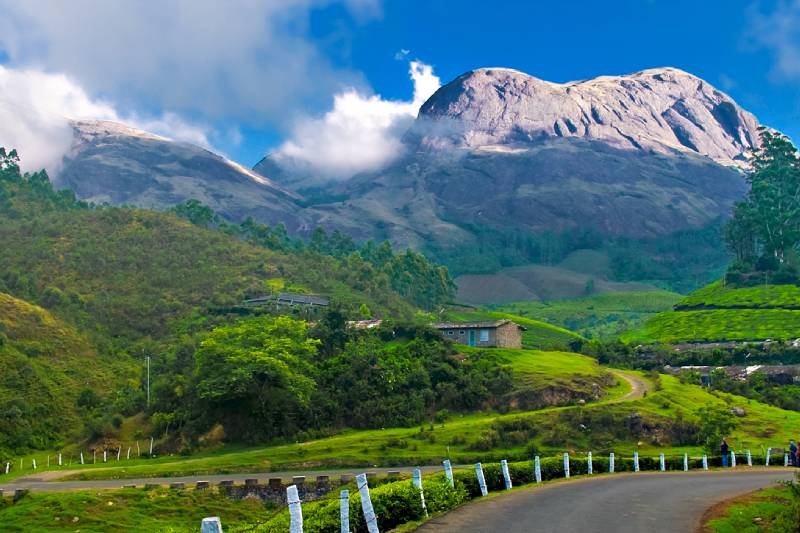 Munnar Banner